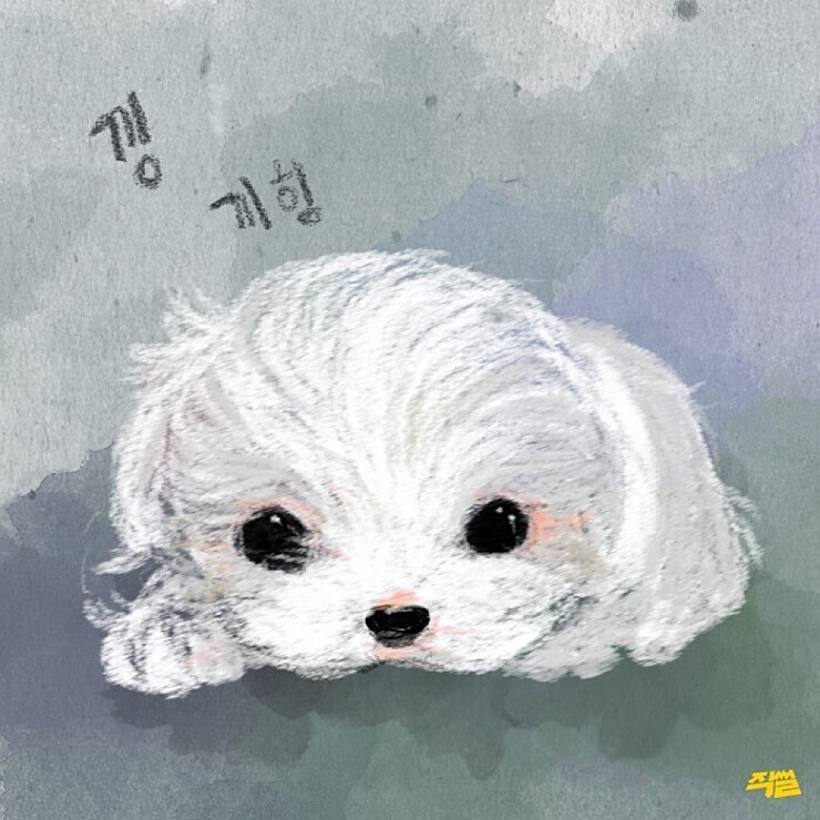 애견샵의 불편한 진실.jpg | 인스티즈