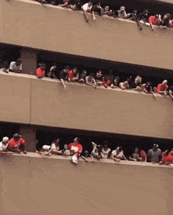 모자 주인 찾아주기 레전드.gif | 인스티즈