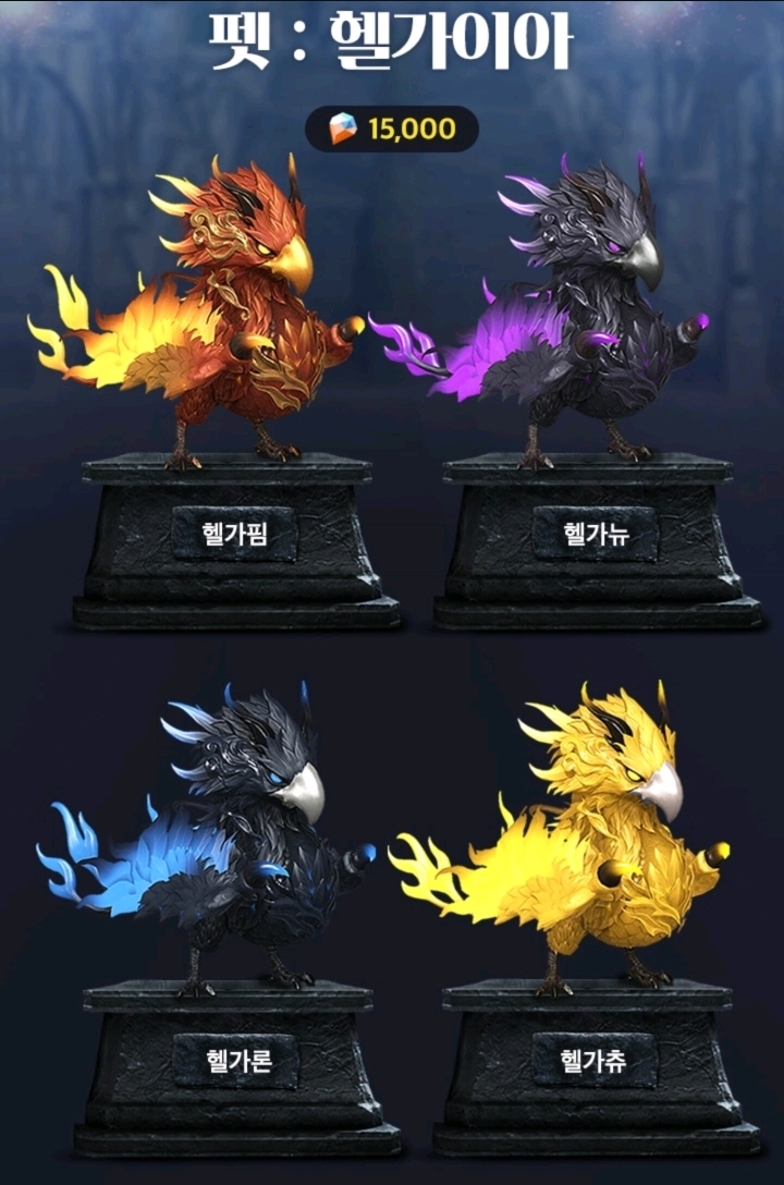 로스트아크에 출시된 가디언펫들 | 인스티즈