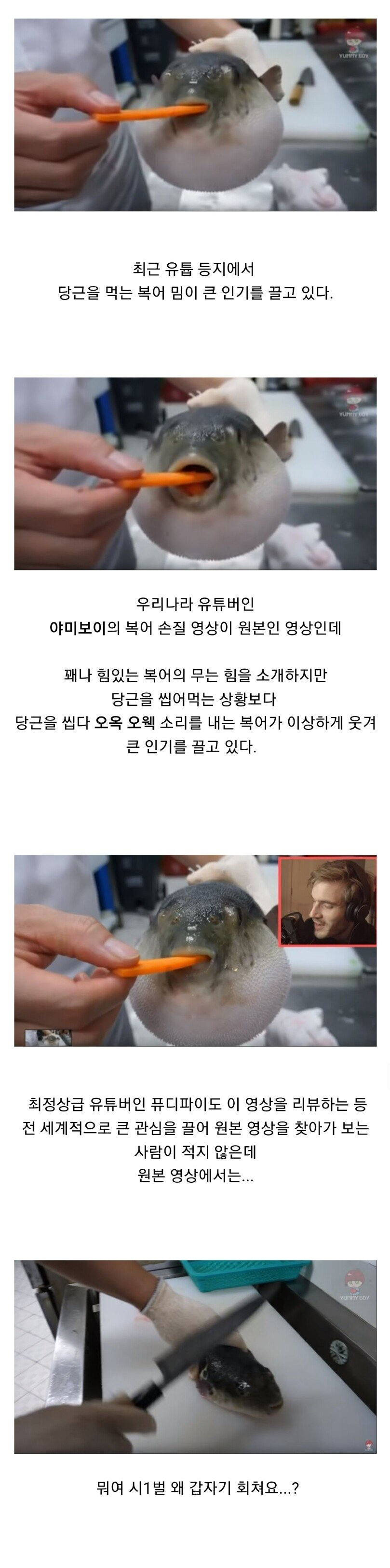 외국인들을 맨붕시키고 있는 국산 밈.jpg | 인스티즈