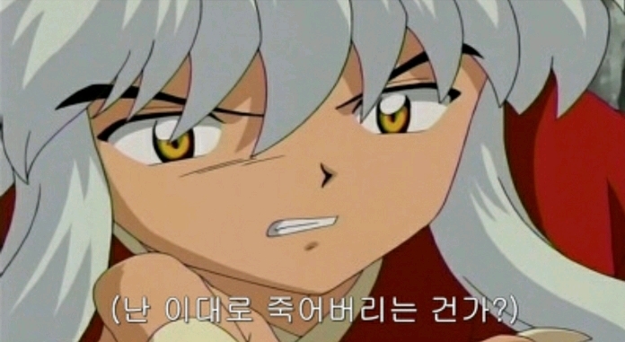 생각보다 더 깊은 이누야샤와 금강 서사 | 인스티즈