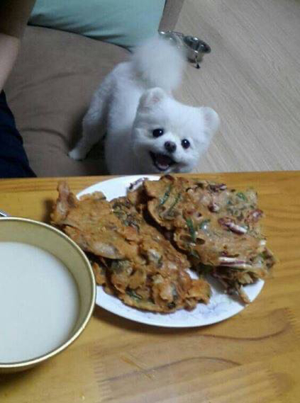 ???: 야야 그거 한입 먹는다고 죽냐 ㅋㅋㅋ | 인스티즈