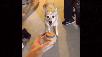 뜻 밖의 시리즈.gif | 인스티즈