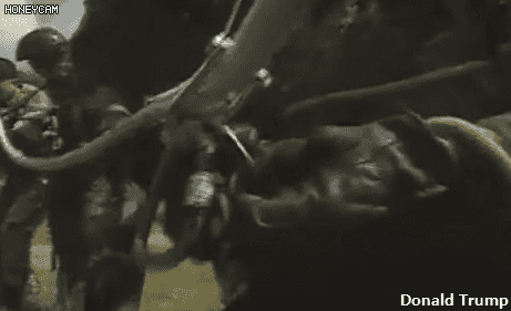 UDT/SEAL 실제 훈련짤.gif | 인스티즈