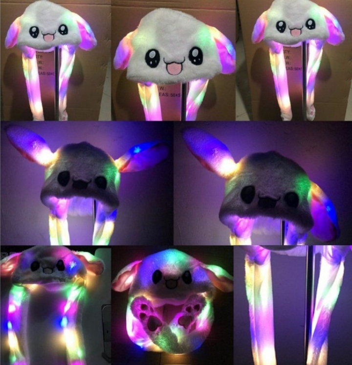 점점 진화하는 토끼모자 | 인스티즈