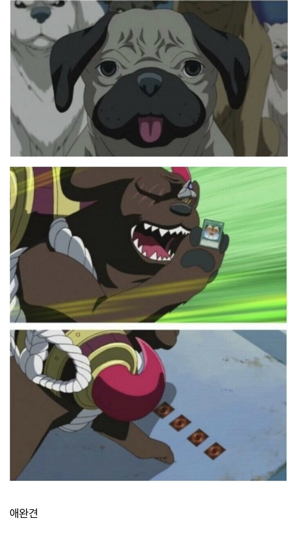 유희왕 세계에서 듀얼로 할 수 있는 것들... | 인스티즈