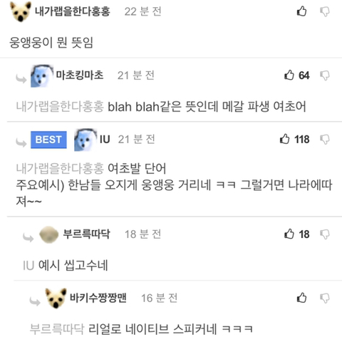 트와이스 지효 채팅 레전드 | 인스티즈