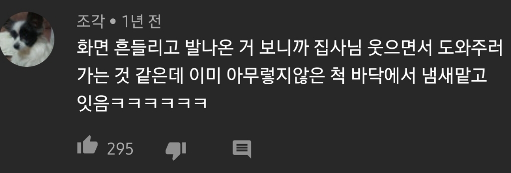 고양이 찍다가 빵터짐 ㅋㅋㅋㅋㅋㅋㅋㅋㅋㅋㅋㅋㅋㅋㅋㅋ | 인스티즈