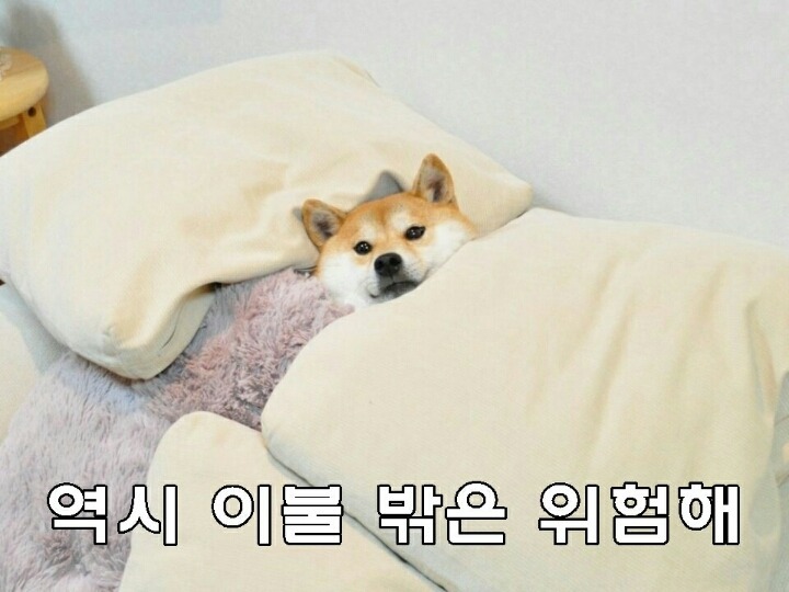 신천지 코로나 사태로 재평가 받는 종교 | 인스티즈