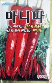 재미있는 고추 품종 이름들 | 인스티즈