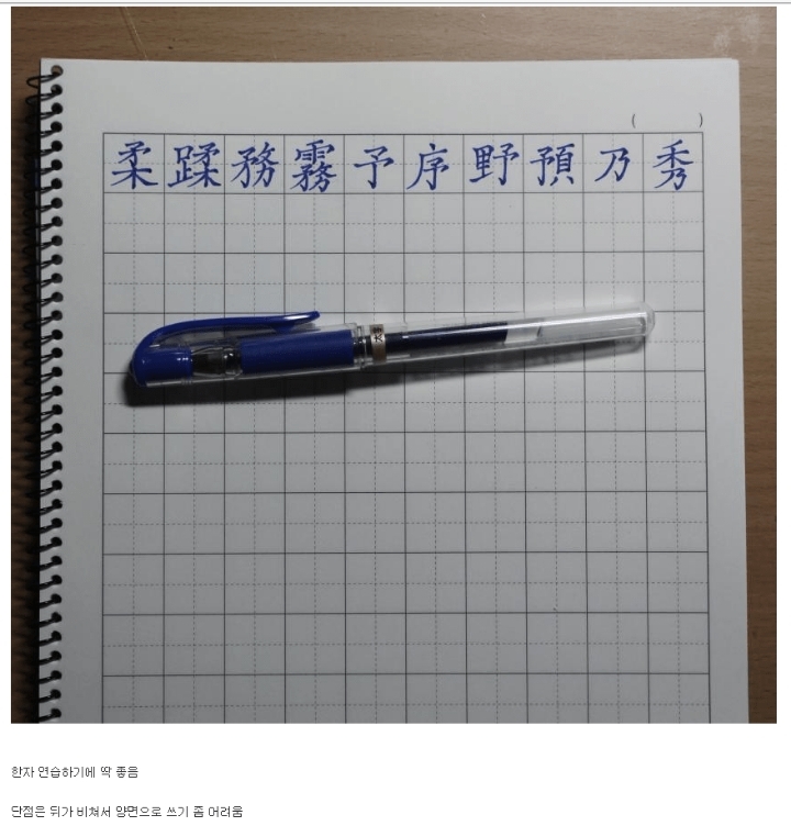 디씨에 나타난 한석봉.JPG | 인스티즈