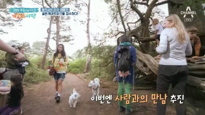 미국에서 인기쩌는 진돗개....jpg | 인스티즈