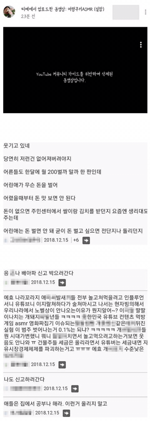 45만 구독자 초등학생 유튜버가 공격당한 이유 | 인스티즈