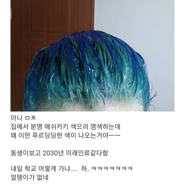 미래인류의 머리색으로 염색한 사람.jpg | 인스티즈