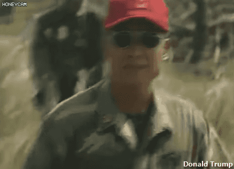 UDT/SEAL 실제 훈련짤.gif | 인스티즈