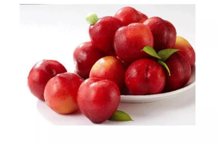 본인기준 애인이 뱉은씨 맨손으로 가능? | 인스티즈