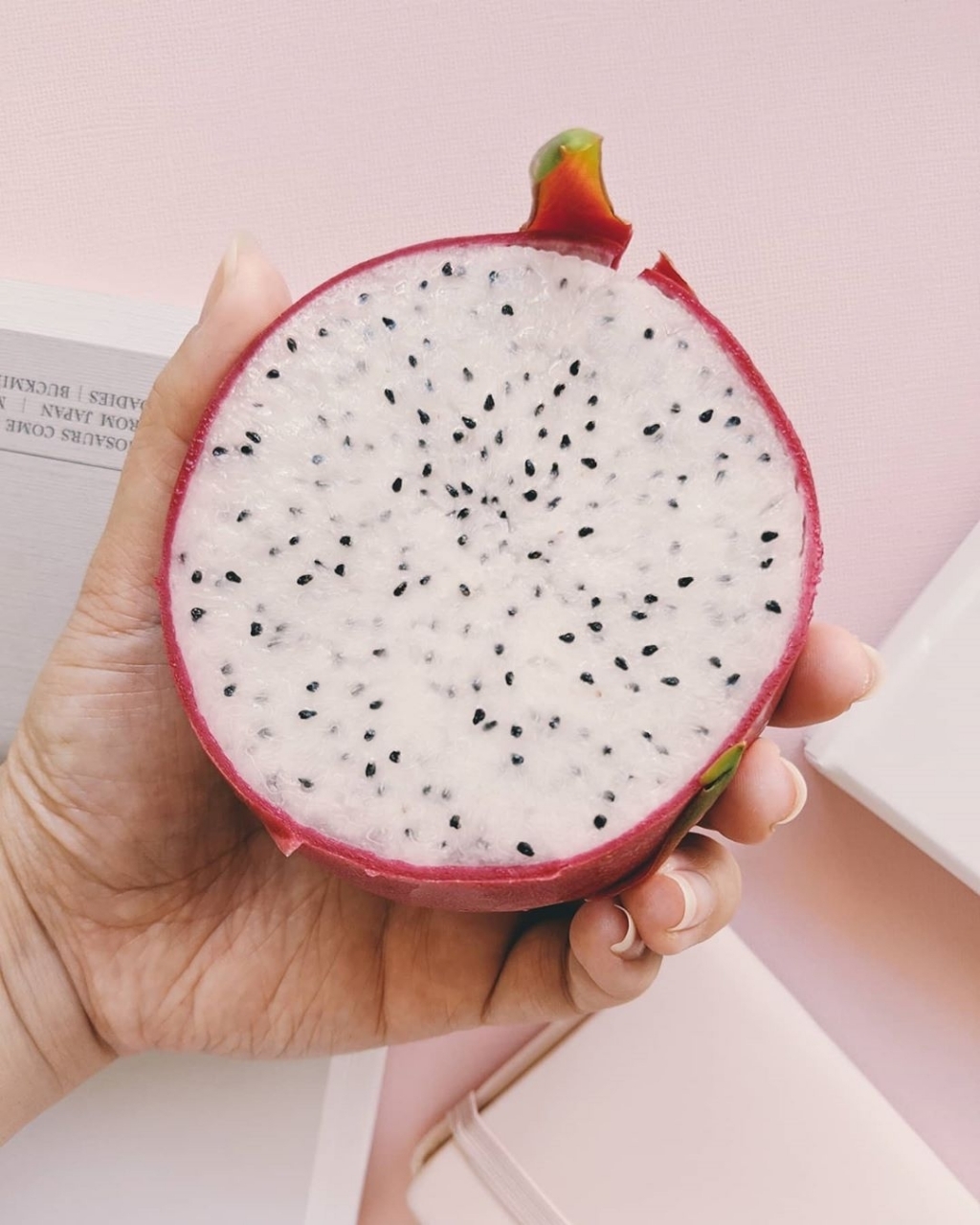 이거 먹어본 적 있다 vs 없다 | 인스티즈