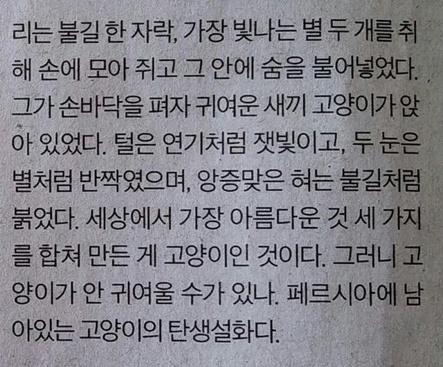 페르시아의 고양이 전설.jpg | 인스티즈