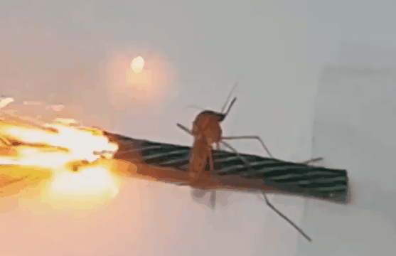 253358fa08811fdc1ec414d0a8f9803302ffda35