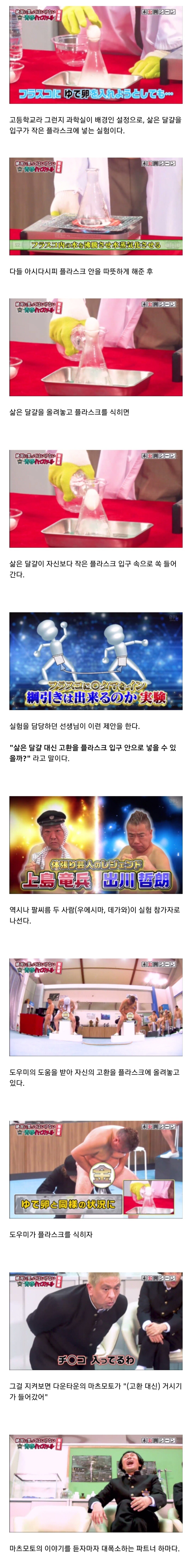 2020년 일본 예능... | 인스티즈