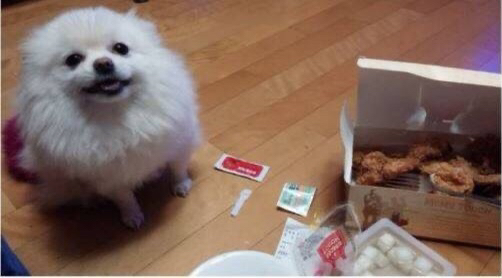 ???: 야야 그거 한입 먹는다고 죽냐 ㅋㅋㅋ | 인스티즈