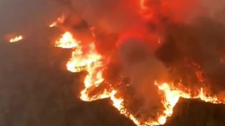 호주 화재현장으로 들어가는 소방관들ㄷㄷㄷ.gif | 인스티즈