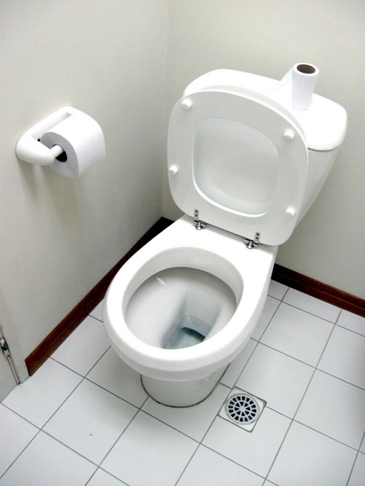 수면 vs 배변 둘중 한가지 에서 자유로울수 있다면? | 인스티즈