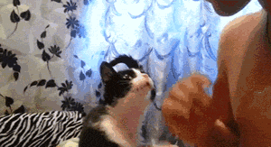 조련당하는 인간들 | 인스티즈