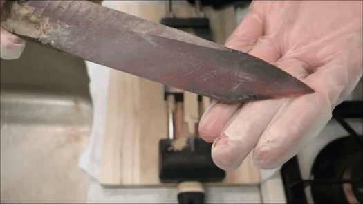 세계에서 가장 단단하다는 식재료 | 인스티즈