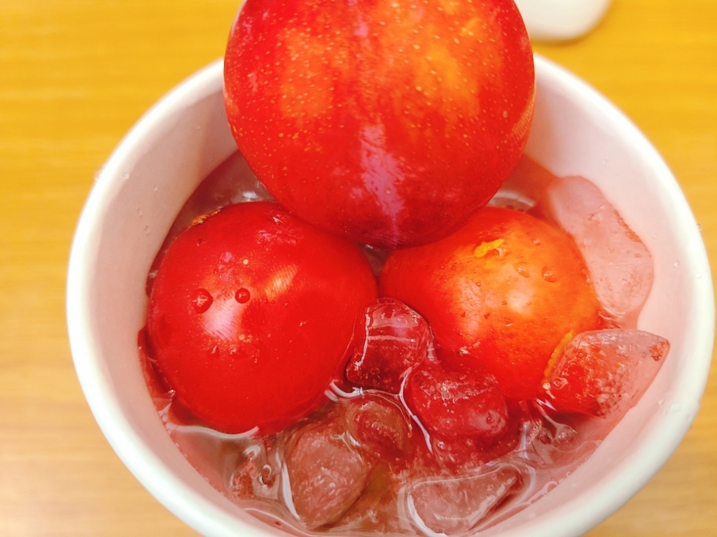 갤럭시s20+ 카메라로 찍은 사진 모음 | 인스티즈