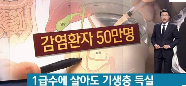 1급수에 사는 민물고기라도 기생충 천지 (혐오주의) | 인스티즈