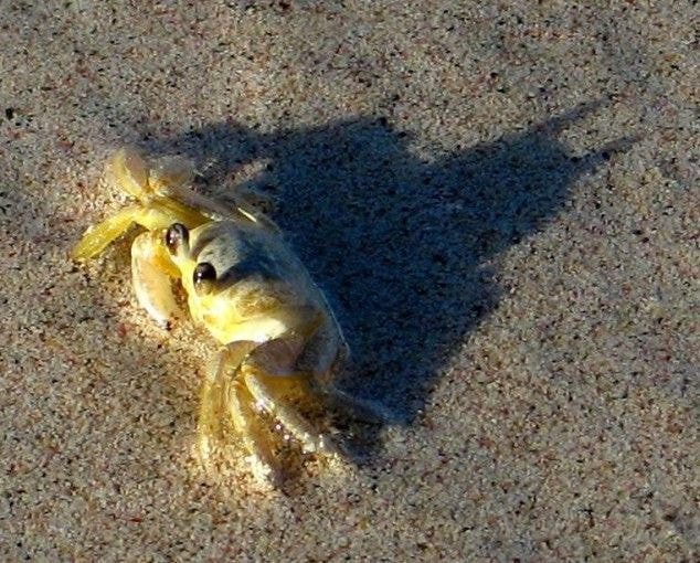 조커 흥행이 못마땅한게 | 인스티즈