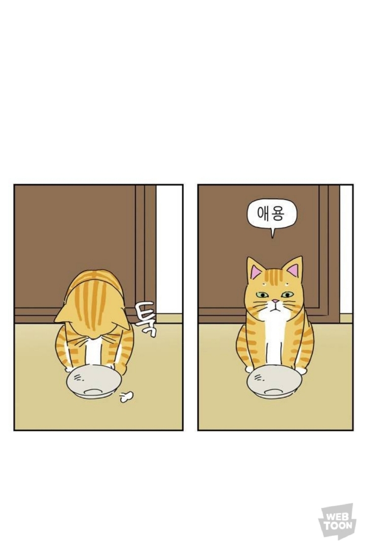 애완동물 키우면 매일 비슷한 시간에 깨는 이유.jpg | 인스티즈