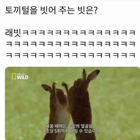 동물개그 모음집.JPG | 인스티즈