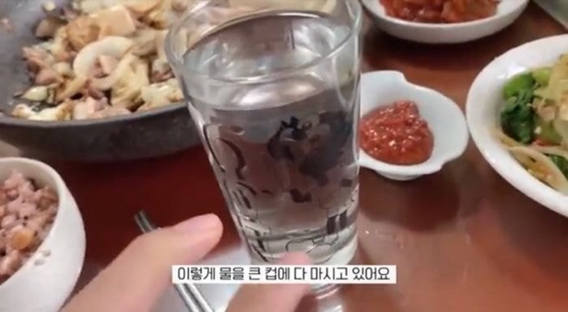 타락헬창 원래 어떻게 먹고 살았는지 궁금해서 찾아본 10개월 전 브이로그 | 인스티즈