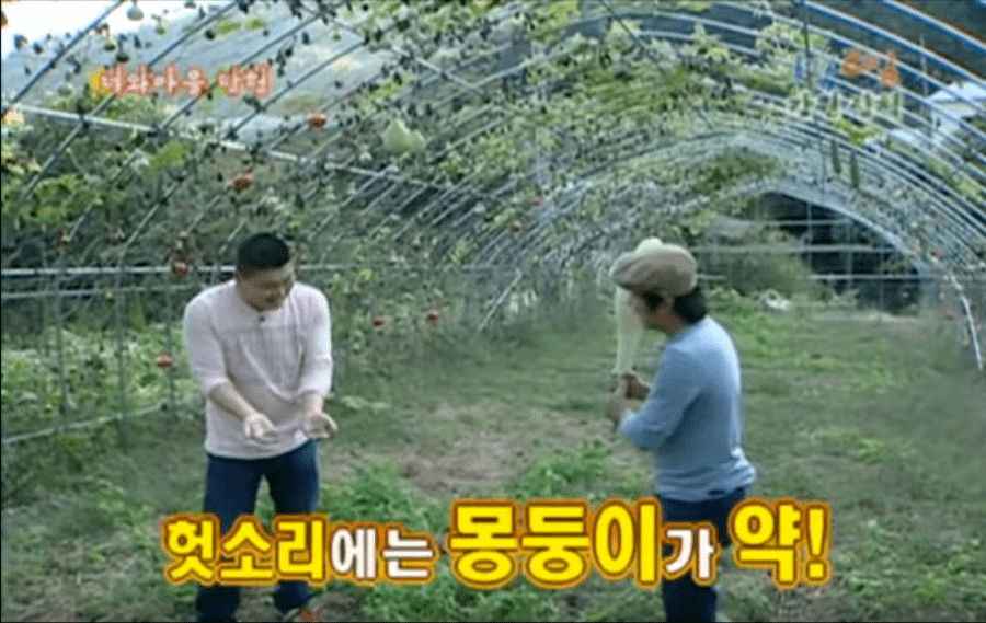 강호동을 패려면 가져야 하는 각오.jpg | 인스티즈