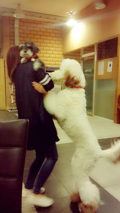 285b6902f97a7ba7841d89e8bc28250d875c6865