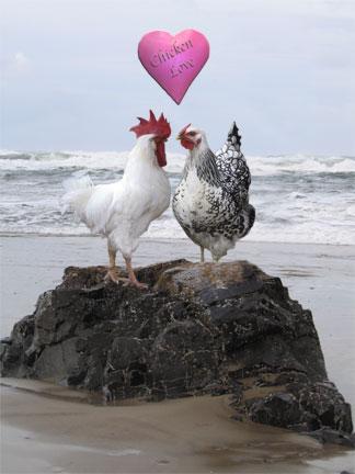 상어가 만만한 이유는? | 인스티즈