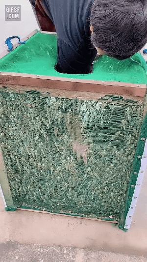 주문이 들어오면 바로 튀겨주는 (혐오주의) | 인스티즈