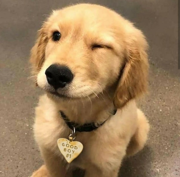 아기인절미 | 인스티즈