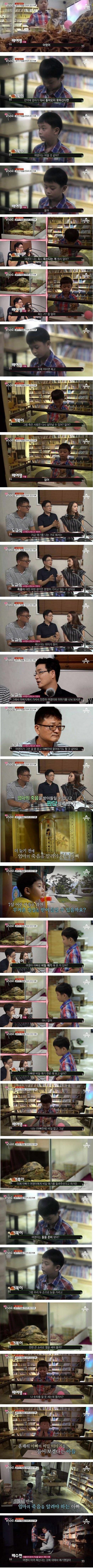 7살짜리 아들에게 엄마의 죽음을 전하는 아빠 | 인스티즈