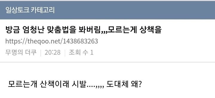 모르는 개 산책이다.jpg | 인스티즈