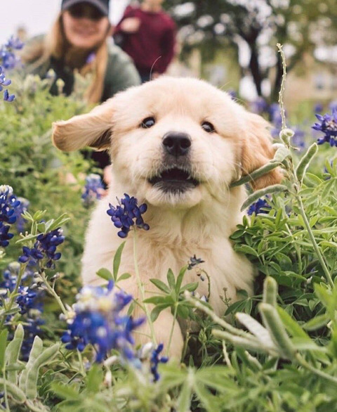 커여운 인절미들 | 인스티즈
