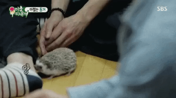 297f1a9ffb0ece931cc16c520a3630e6c913e6fd