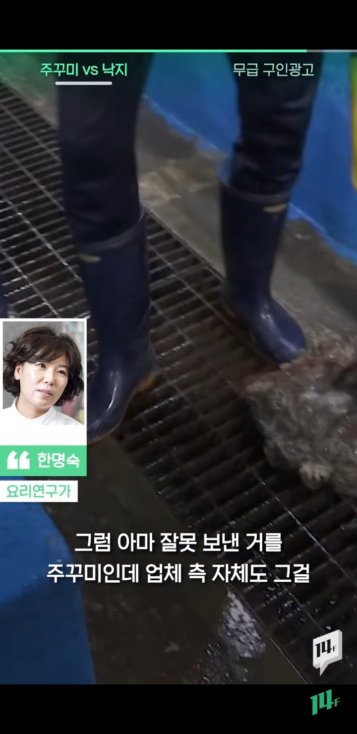 얼마전 낙지냐 쭈꾸미냐 논쟁의 전문가 의견 | 인스티즈