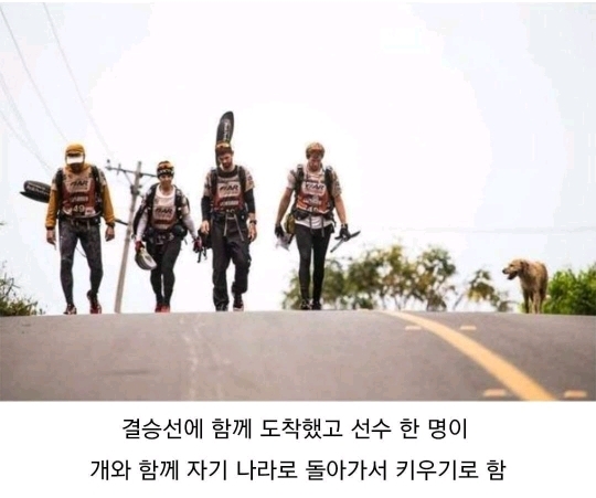 버려진 골든 댕댕이 | 인스티즈