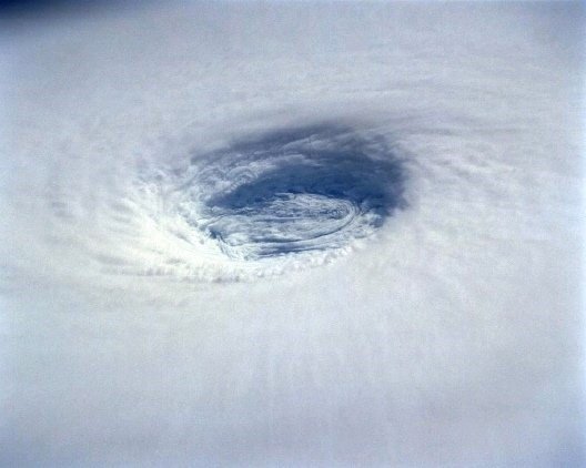 태풍이 오고있지만 제가 있으니 걱정마십쇼 | 인스티즈