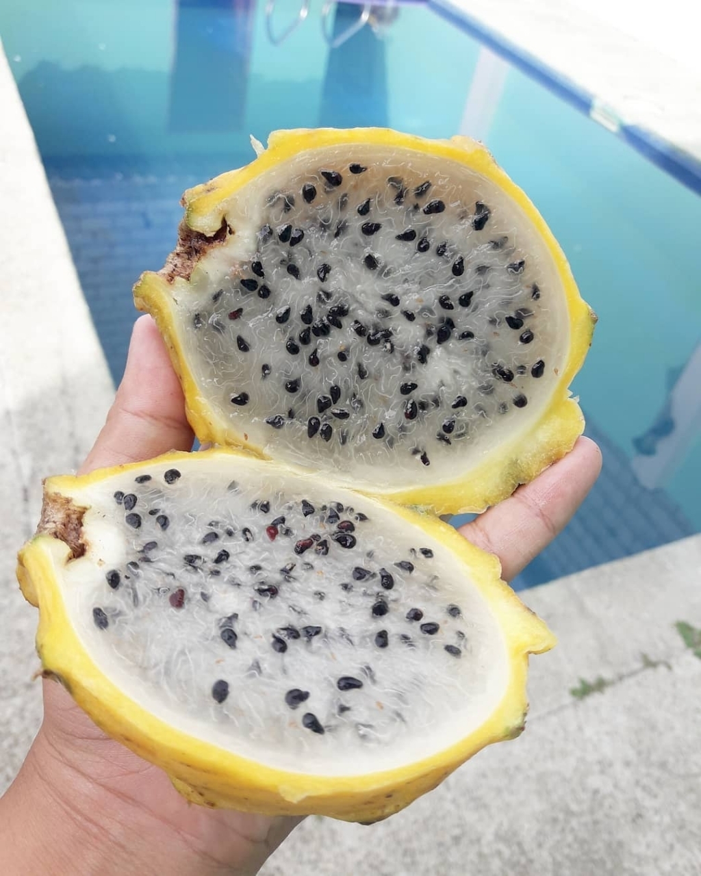 이거 먹어본 적 있다 vs 없다 | 인스티즈