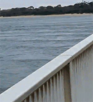 맨몸으로 런닝하는...gif | 인스티즈