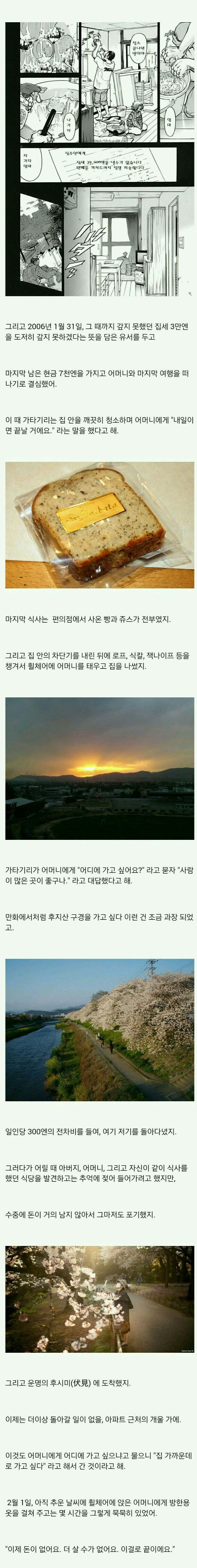 일본 교토에서 발생한 모친 살인사건 | 인스티즈